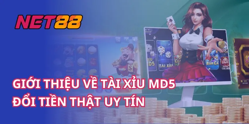 Tìm Hiểu Về Tài Xỉu Md5 NET88: Cơ Bản và Tính Năng Nổi Bật